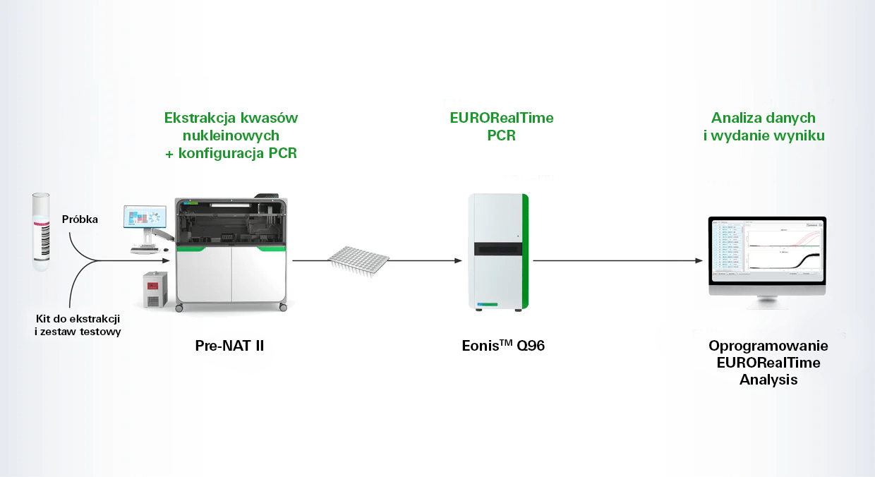 EURORealTime-PCR-Workflow